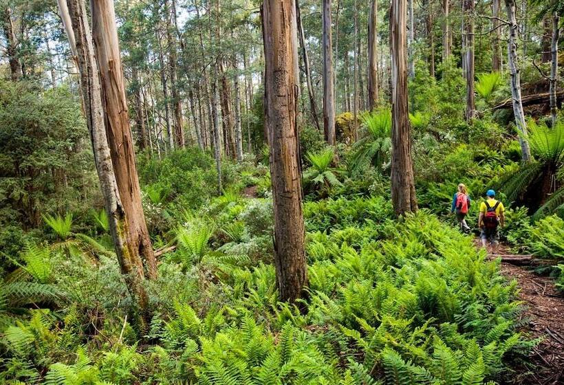 Отель Walhallas Star