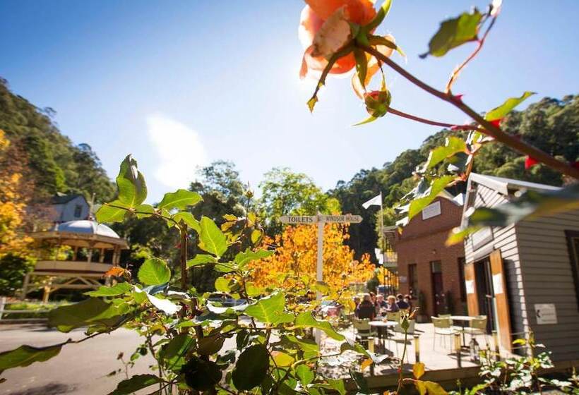 Отель Walhallas Star