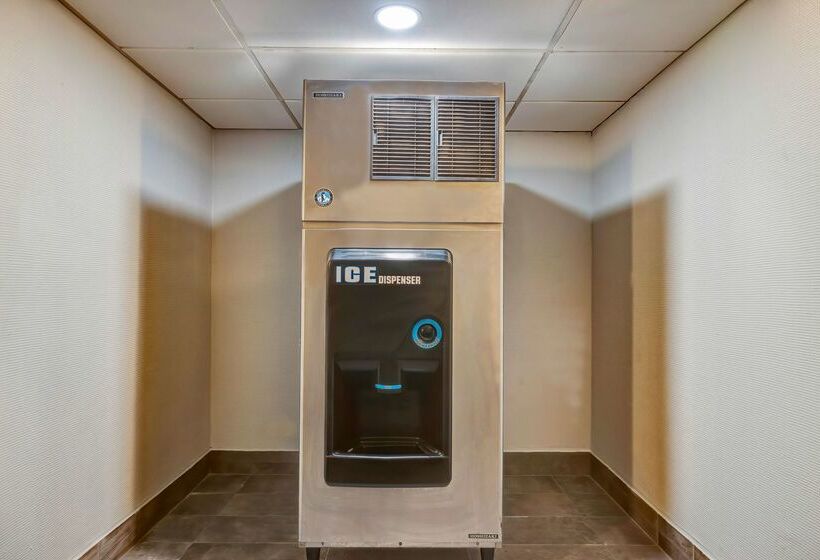 Motel 6 Arlington Tx Entertainment District