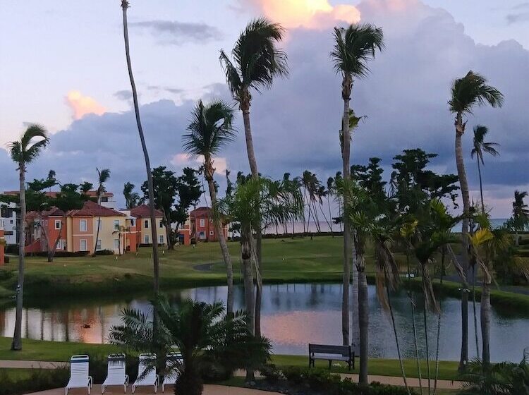 Palm View