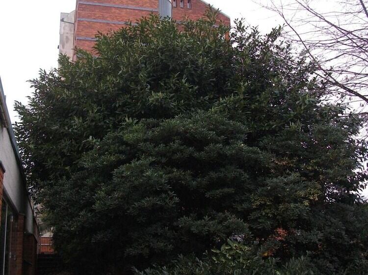 Residence Hotel Siloe