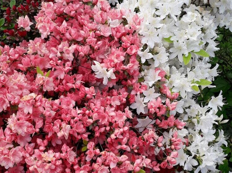 Residence Hotel Siloe