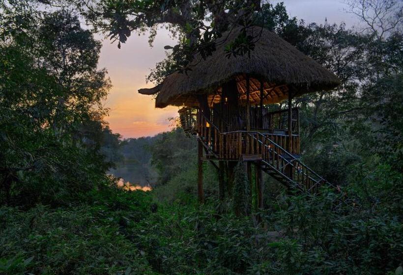 استراحتگاه Evolve Back Coorg