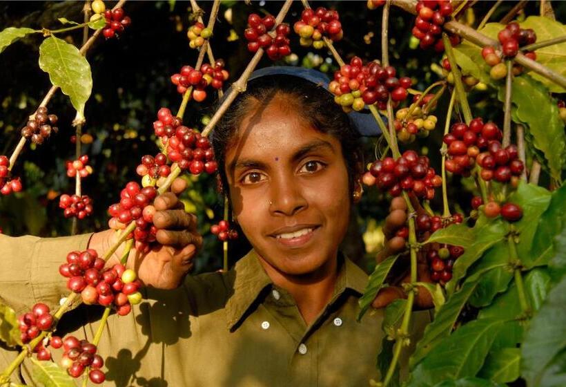 استراحتگاه Evolve Back Coorg