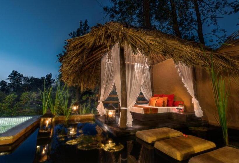 استراحتگاه Evolve Back Coorg