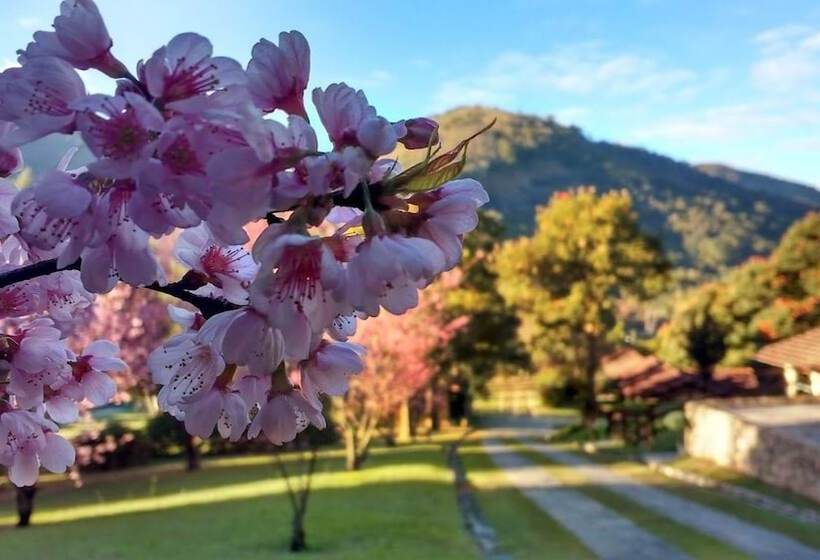 渡假胜地  Pousada Parador Santarém