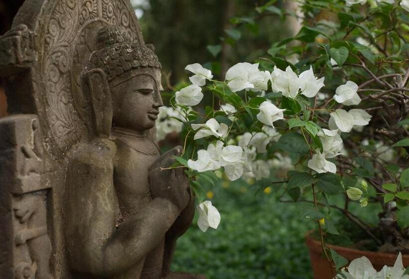 리조트 Somatheeram Ayurveda Village