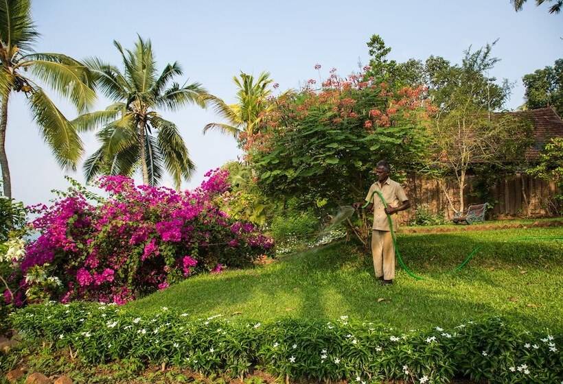 리조트 Somatheeram Ayurveda Village