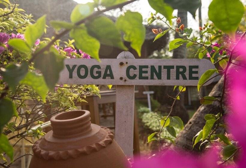 리조트 Somatheeram Ayurveda Village