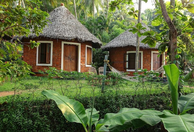 리조트 Somatheeram Ayurveda Village