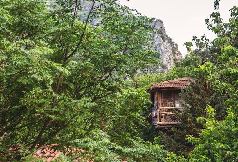 هاستل Kadir S Top Tree Houses