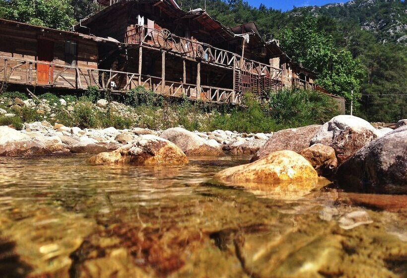 هاستل Kadir S Top Tree Houses