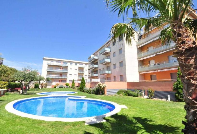 Sol Millet Litoral Only Families