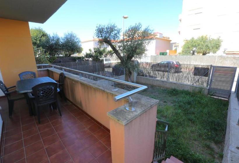 Sol Millet Litoral Only Families