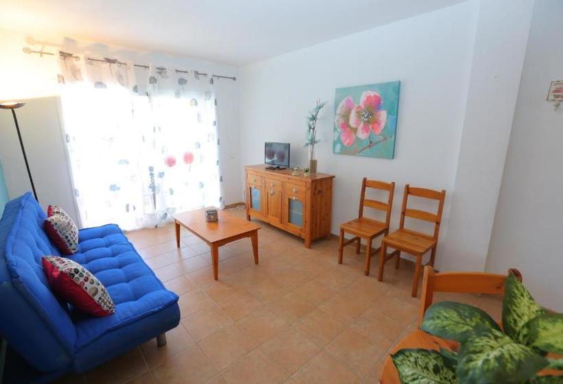 Sol Millet Litoral Only Families