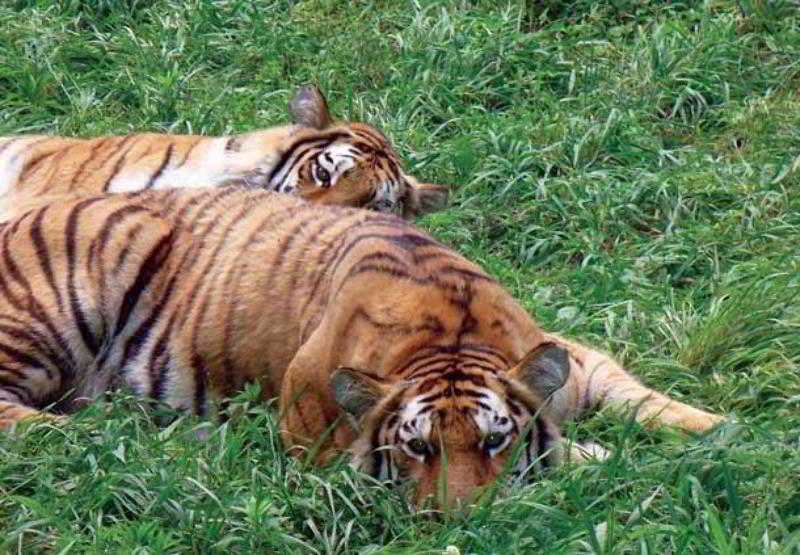 Fairfield By Marriott Peoria East