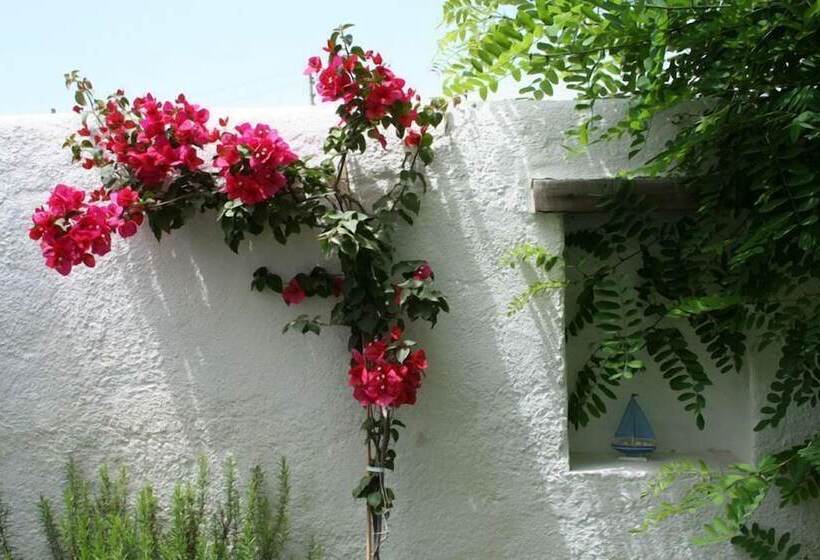 هتل Alenos Boutique