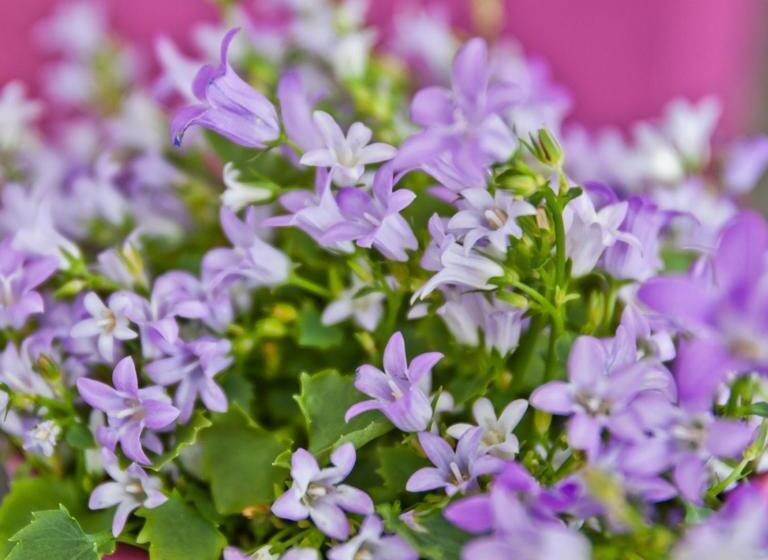 酒店 Alix Boutique