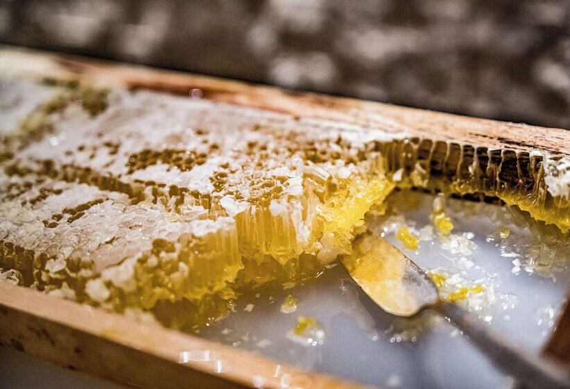 호텔 Alpina Sölden   Adults Only