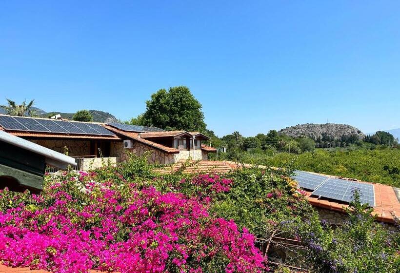 هتل Bahaus Resort