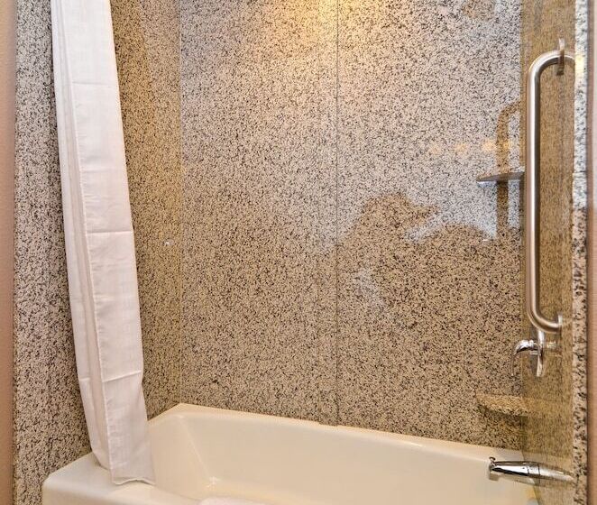 فندق Best Western Plus Carousel Inn & Suites Burlington