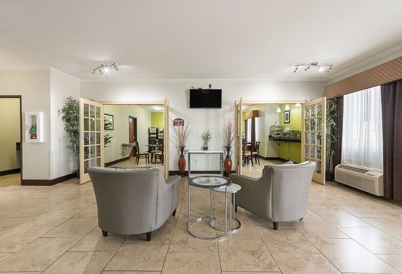 בית מלון כפרי Best Western Plus Deridder Inn & Suites