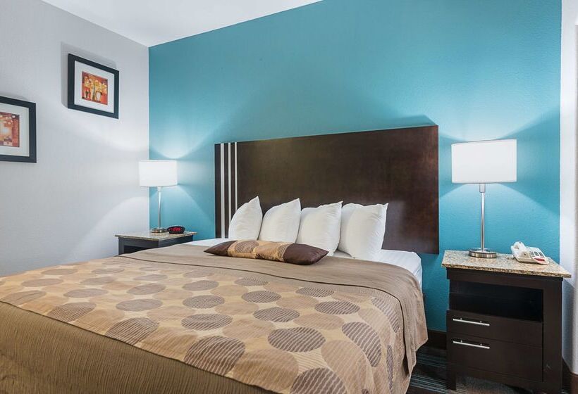 בית מלון כפרי Best Western Plus Deridder Inn & Suites