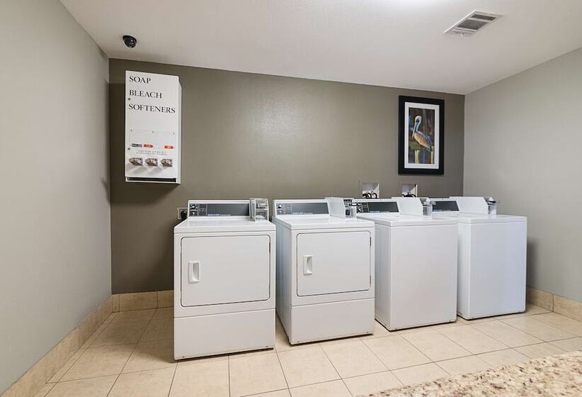 فندق Best Western Plus Deridder Inn & Suites