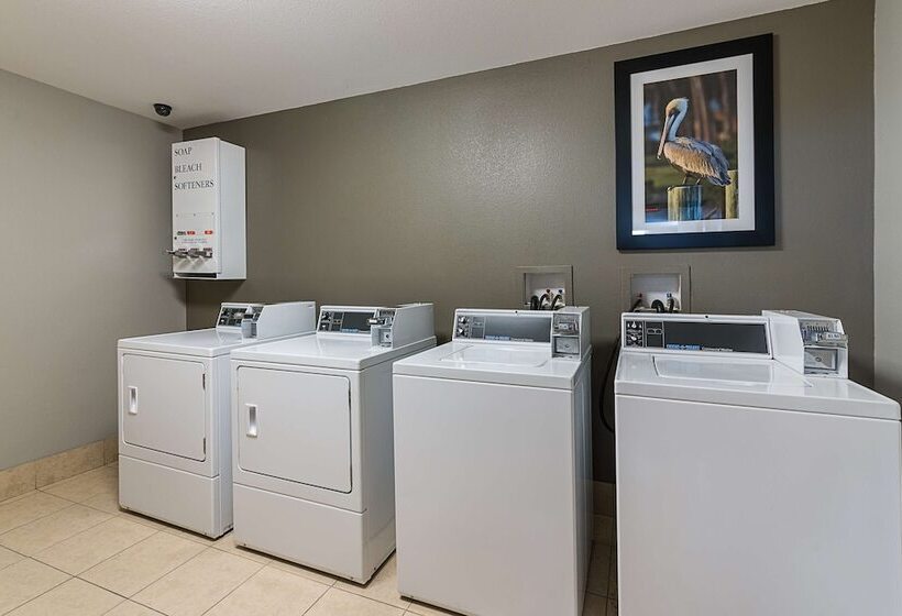 فندق Best Western Plus Deridder Inn & Suites