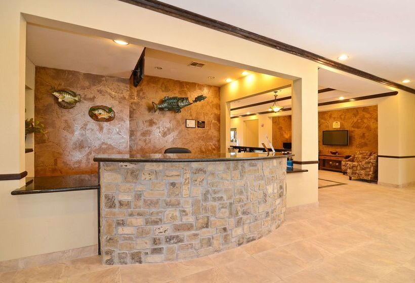 ホテル Best Western Plus Emory At Lake Fork Inn & Suites