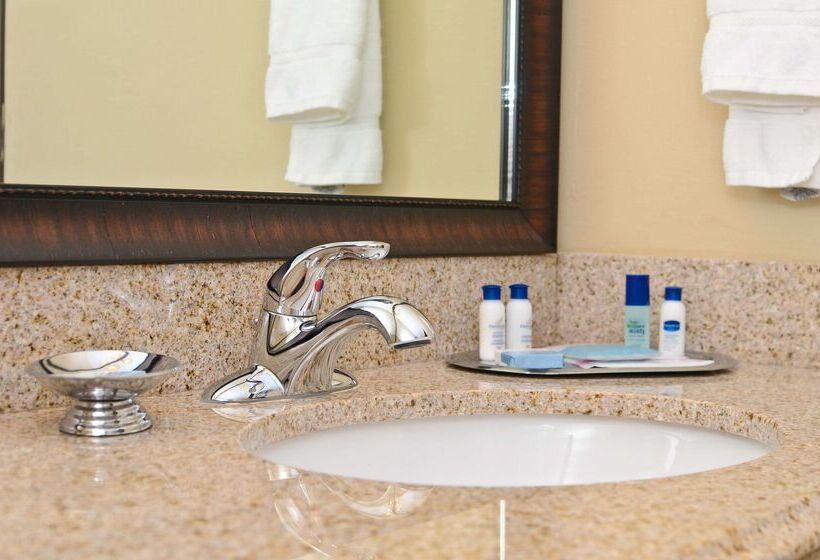 ホテル Best Western Plus Emory At Lake Fork Inn & Suites