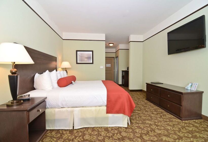 ホテル Best Western Plus Emory At Lake Fork Inn & Suites