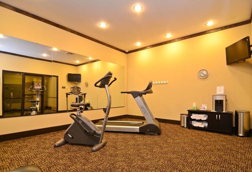 ホテル Best Western Plus Emory At Lake Fork Inn & Suites