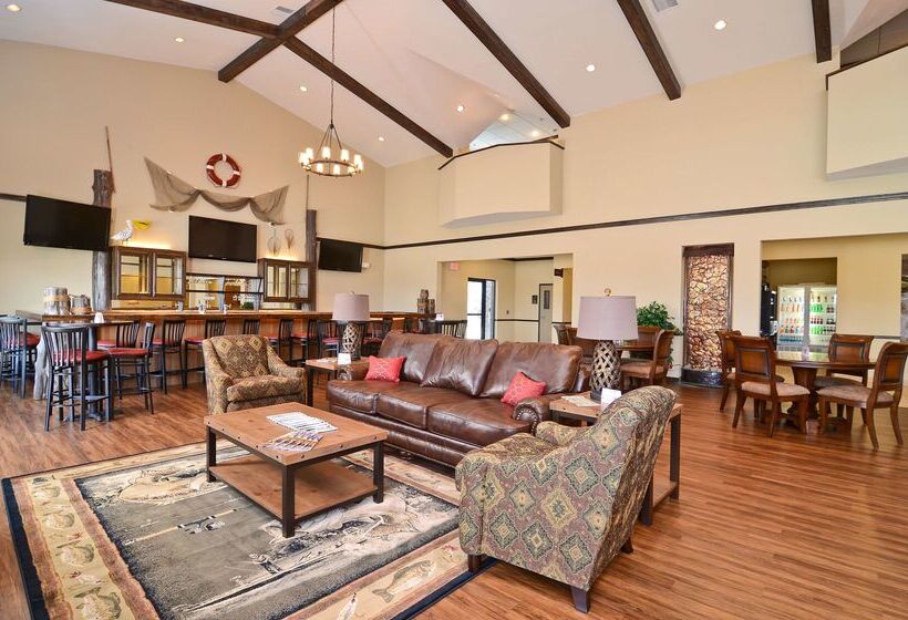 ホテル Best Western Plus Emory At Lake Fork Inn & Suites