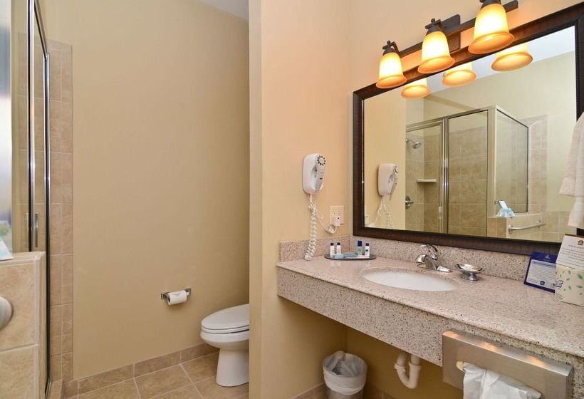 ホテル Best Western Plus Emory At Lake Fork Inn & Suites