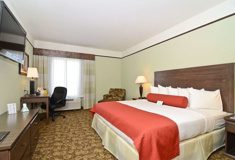 ホテル Best Western Plus Emory At Lake Fork Inn & Suites