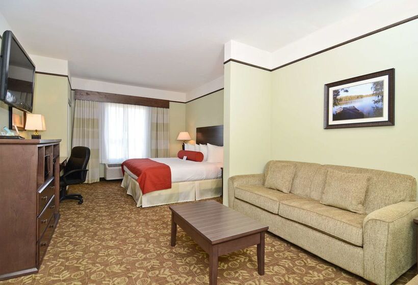 ホテル Best Western Plus Emory At Lake Fork Inn & Suites