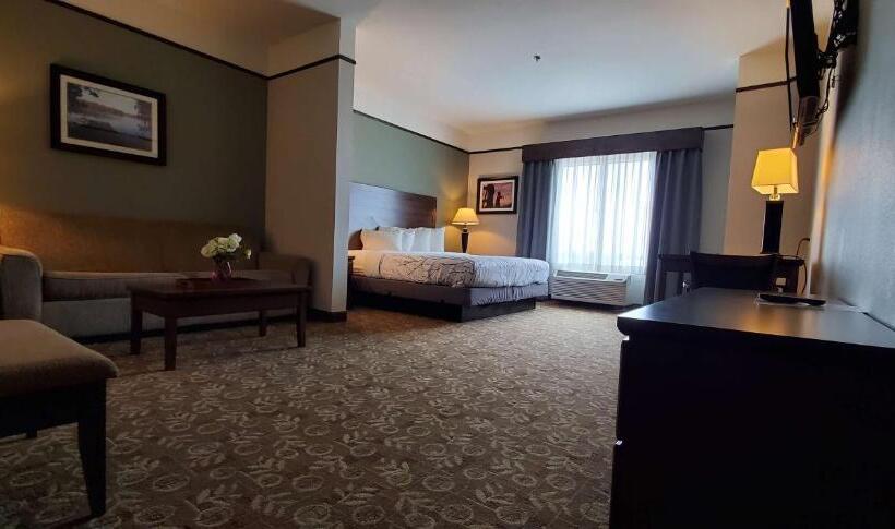 ホテル Best Western Plus Emory At Lake Fork Inn & Suites