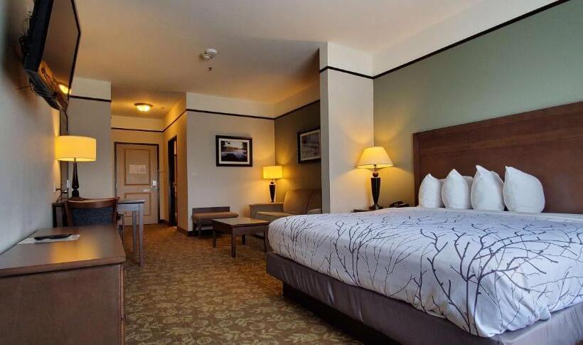 ホテル Best Western Plus Emory At Lake Fork Inn & Suites