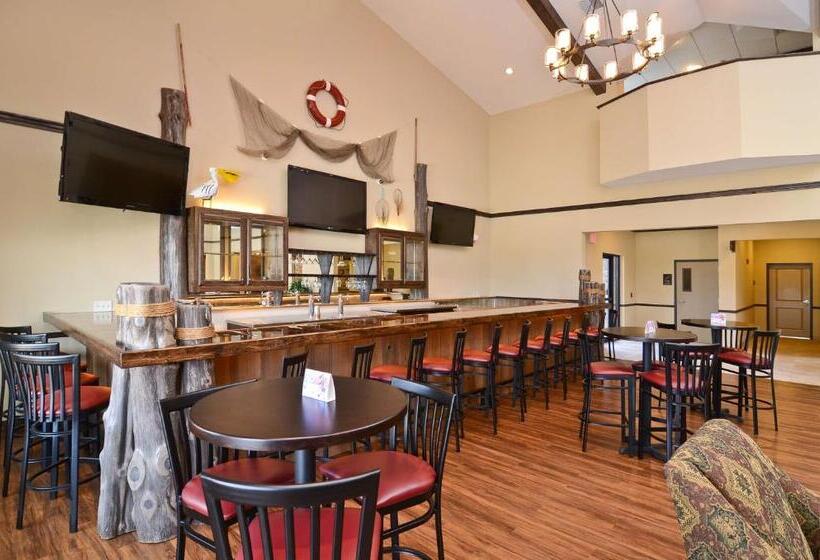 ホテル Best Western Plus Emory At Lake Fork Inn & Suites