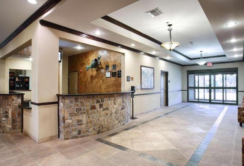 ホテル Best Western Plus Emory At Lake Fork Inn & Suites