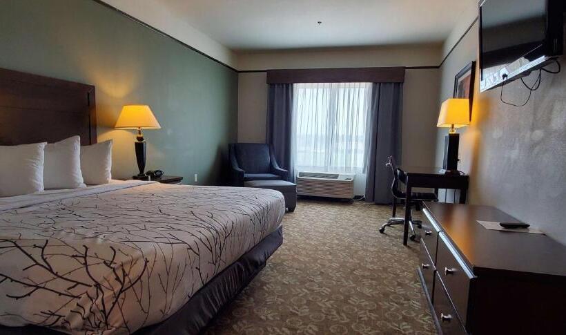 ホテル Best Western Plus Emory At Lake Fork Inn & Suites