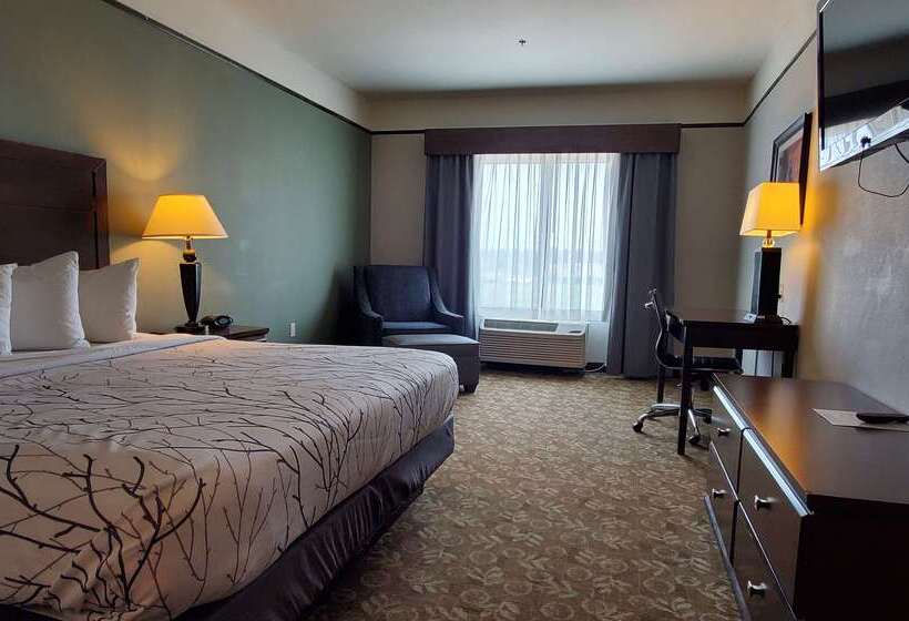 ホテル Best Western Plus Emory At Lake Fork Inn & Suites