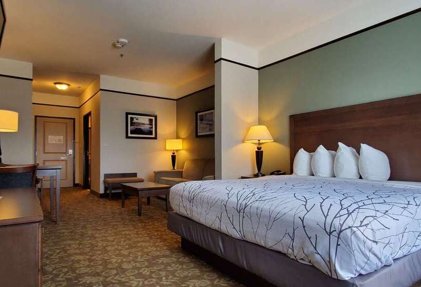 ホテル Best Western Plus Emory At Lake Fork Inn & Suites