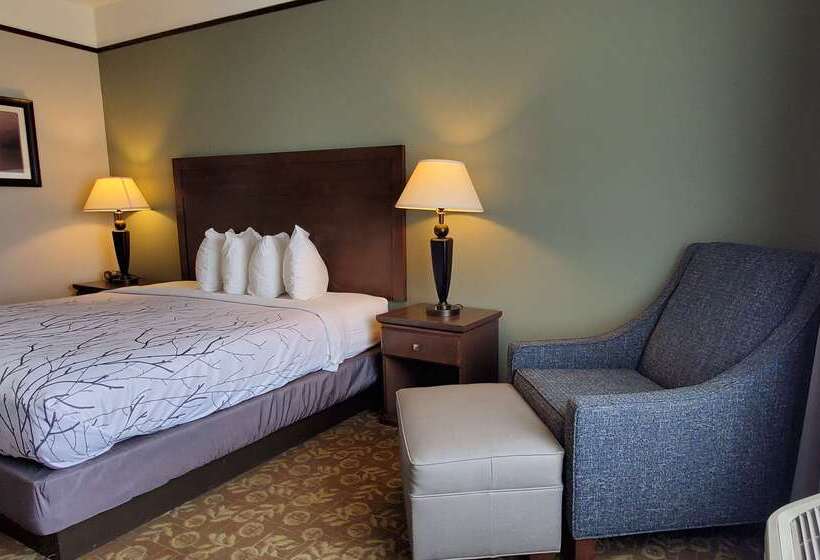 ホテル Best Western Plus Emory At Lake Fork Inn & Suites
