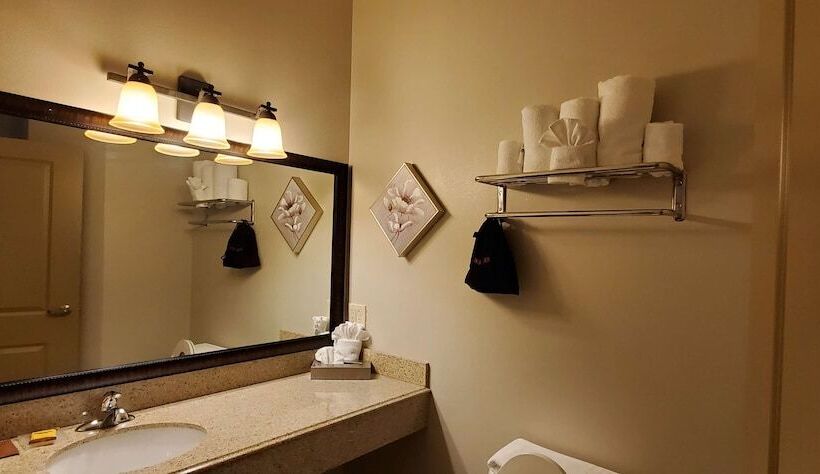 ホテル Best Western Plus Emory At Lake Fork Inn & Suites