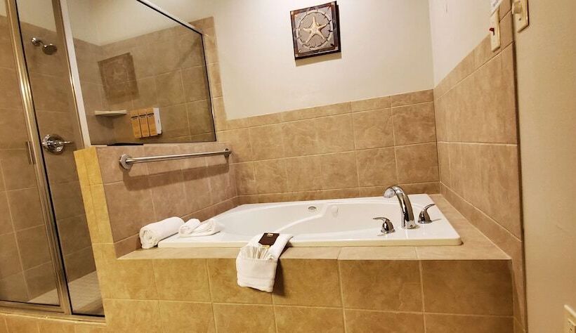 ホテル Best Western Plus Emory At Lake Fork Inn & Suites