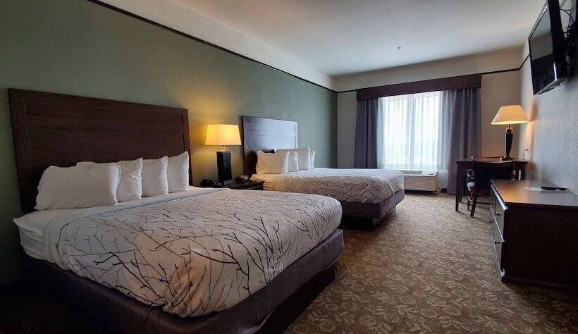 ホテル Best Western Plus Emory At Lake Fork Inn & Suites