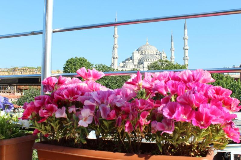 Blue Tuana Hotel Old City