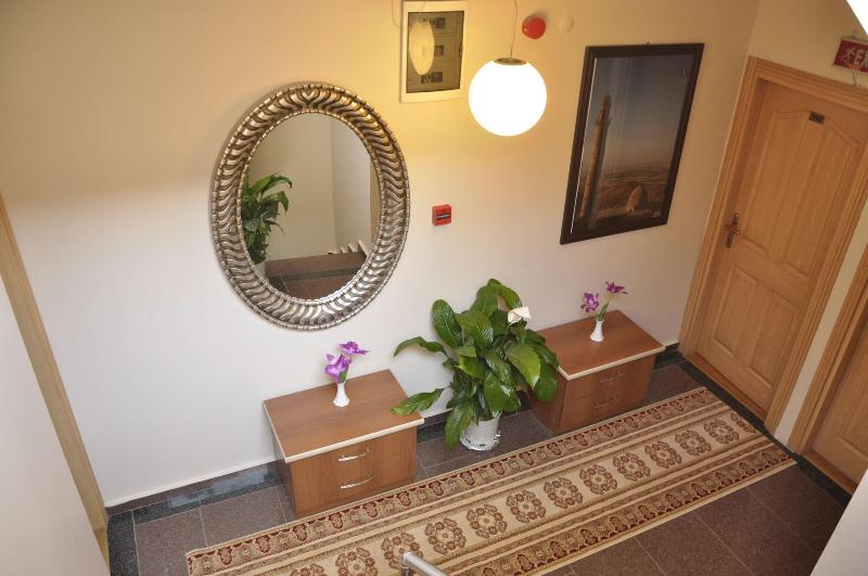 Blue Tuana Hotel Old City